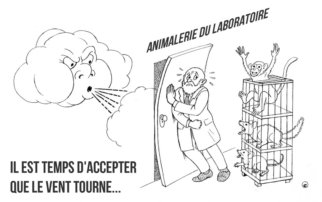 Expérimentation animale : le vent tourne