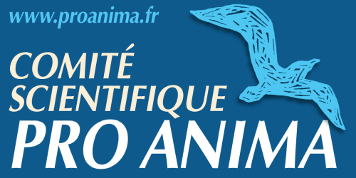 LogoProAnima LogoProAnima