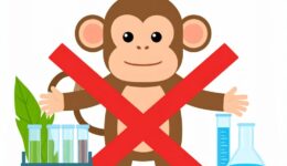 un singe barré d'une croix rouge avec devant du materiel de laborantin