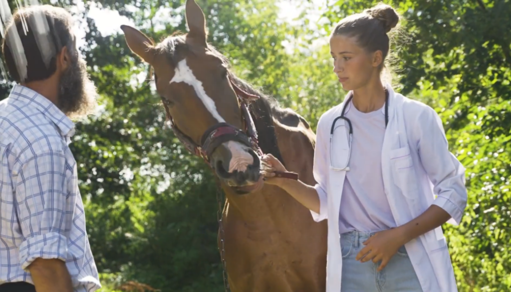 L'éthique des modèles animaux en formation vétérinaire