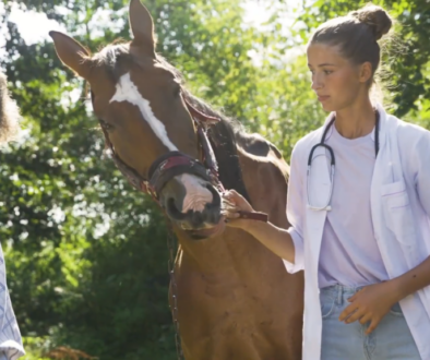 L'éthique des modèles animaux en formation vétérinaire